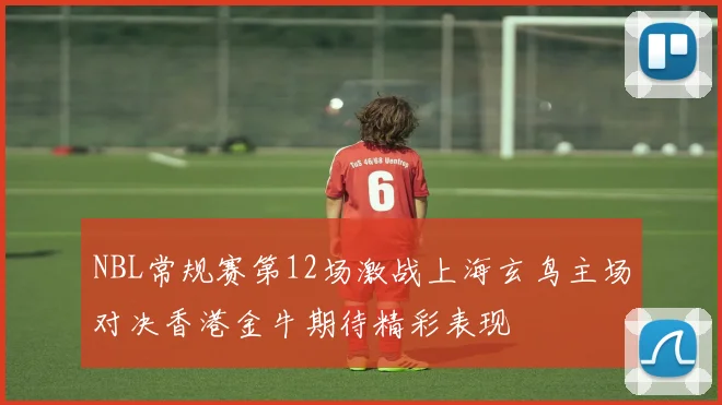NBL常规赛第12场激战上海玄鸟主场对决香港金牛期待精彩表现